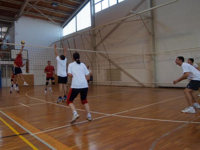 avropi2010221