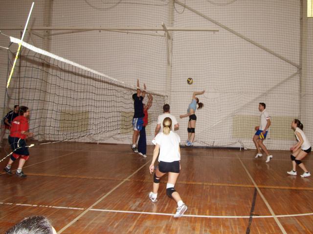 avropi2010289