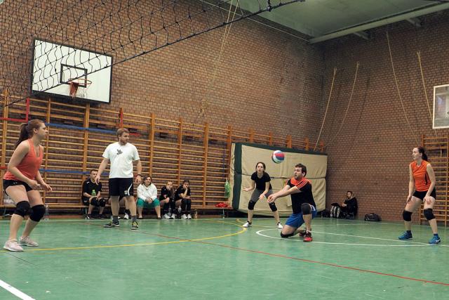 avroplabda12018034