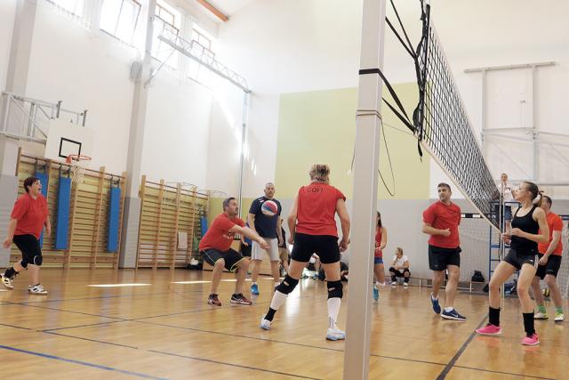 avroplabda22018184