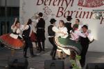 borunn2012009