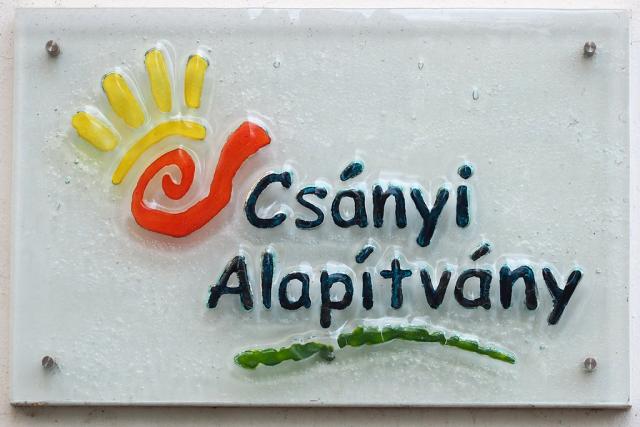 csanyia2012001