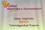 csanyia2012004