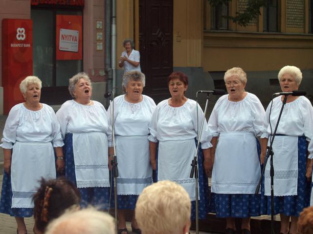 dalost2010068