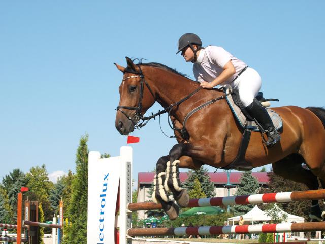 edijug2011181