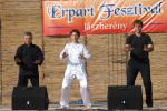 erpart20102185