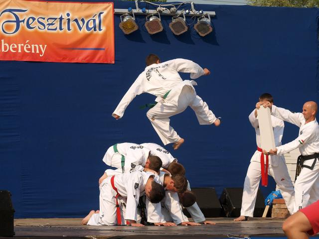 erpartf2011001