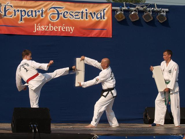 erpartf2011007