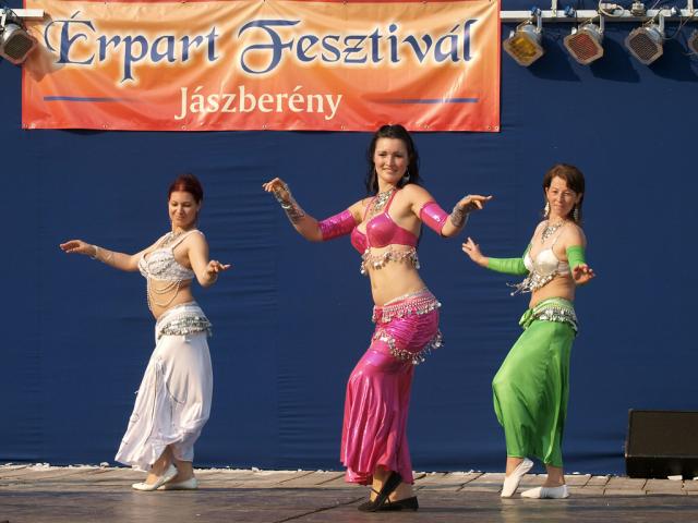 erpartf2011039