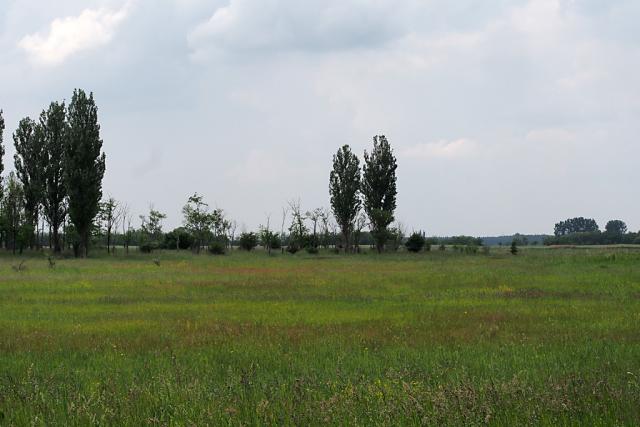 hajtagy2013125