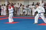 itftaekwon-do2016045