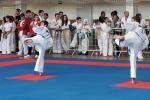 itftaekwon-do2016049