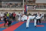 itftaekwon-do2016092