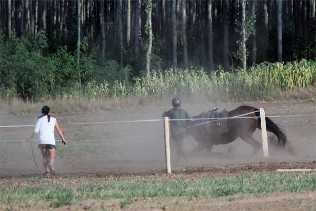 jaszvagta2015052