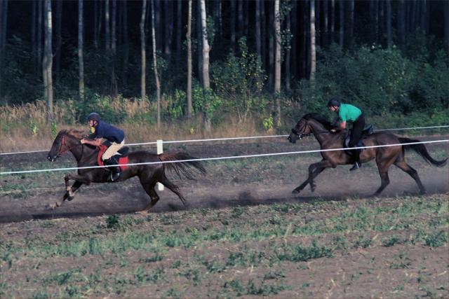 jaszvagta2015061