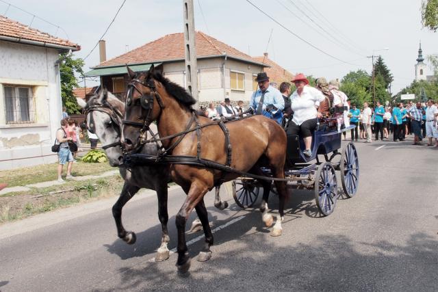 jaszviltal2015063