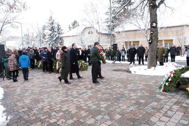 marc15koszoruz2013022