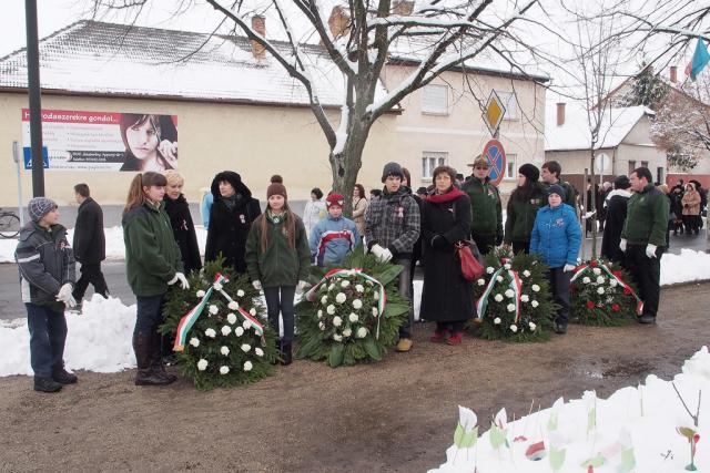 marc15koszoruz2013047