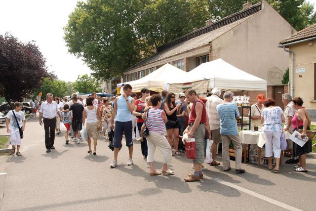 mezvasar2011050