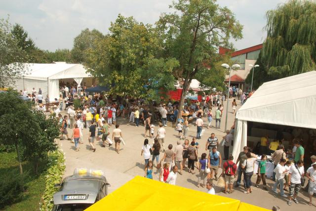 mezvasar2011087