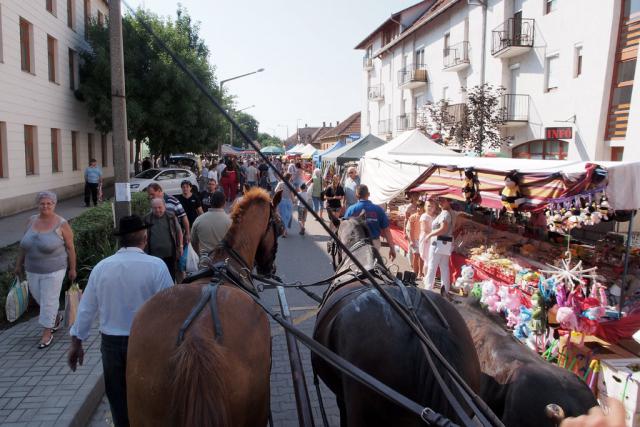 mezvasar2014010