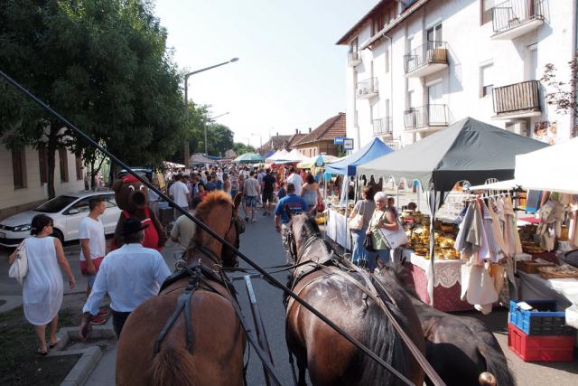 mezvasar2014012