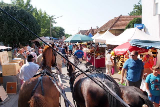 mezvasar2014017