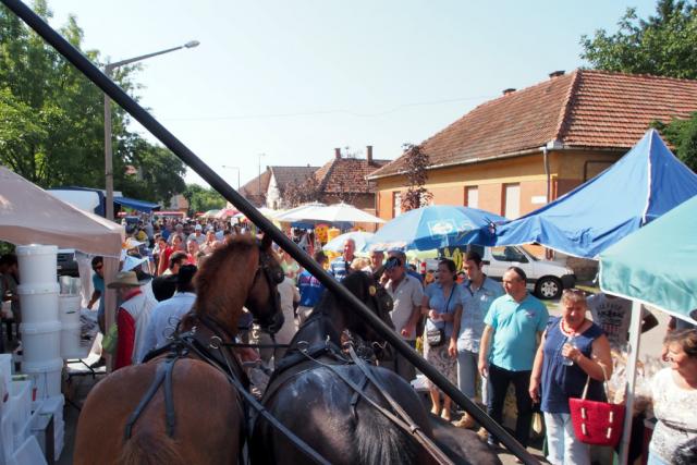 mezvasar2014019