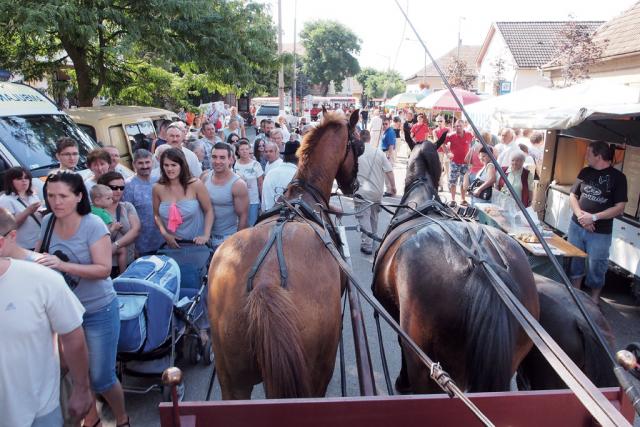 mezvasar2014024