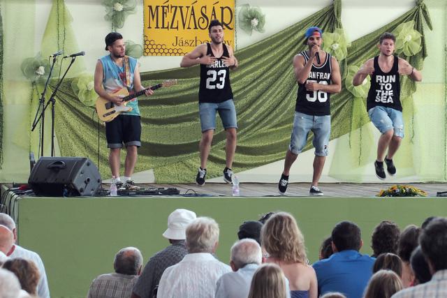 mezvasar2014135