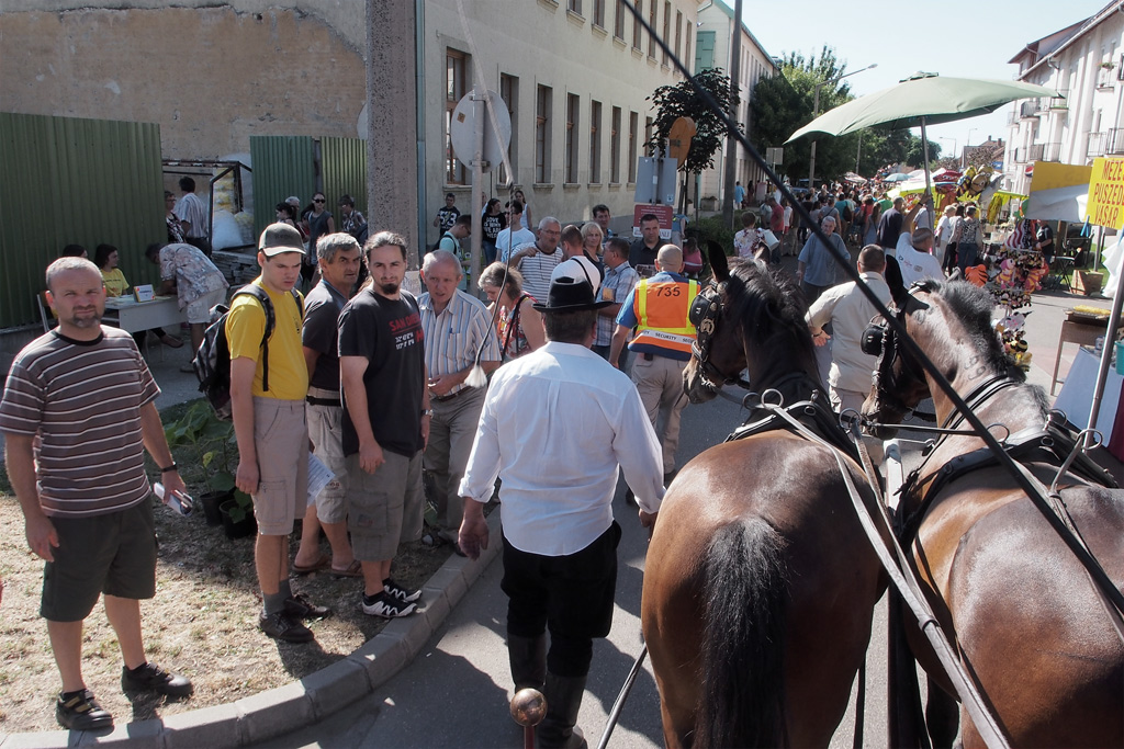 mezvasar2015046