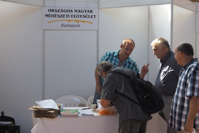mezvasar2018057