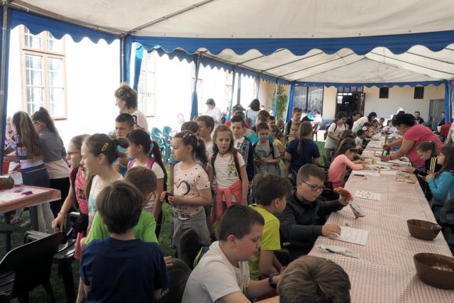 multidezotjh2017013