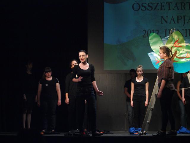 nemzosszetn2012023