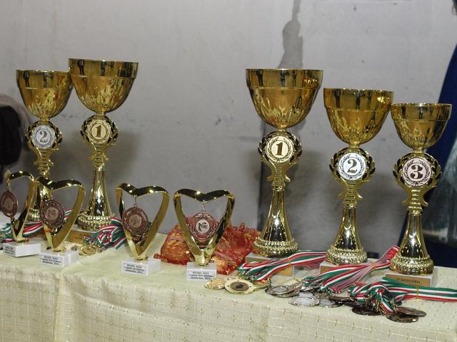 nyuszikupavas2012142