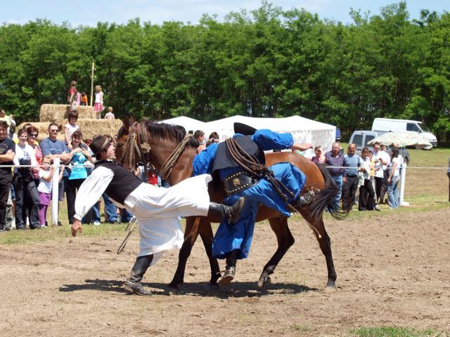 odiju2010084