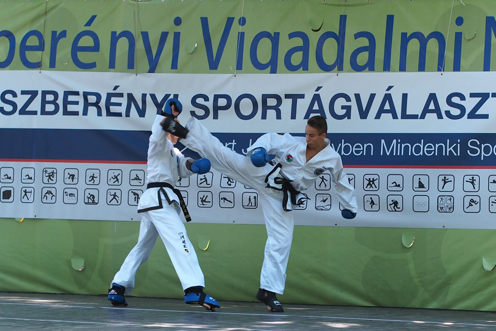 sportagv2013111