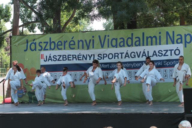 sportagv2013120