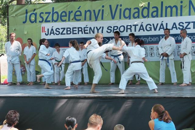 sportagv2013121