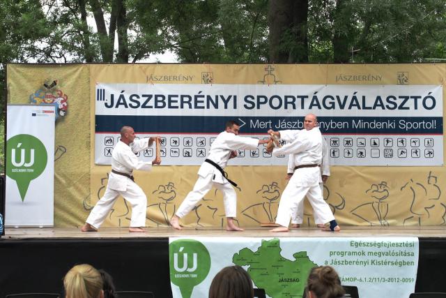 sportagv2014130