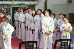 taekwon-do2014010