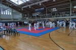 taekwon-do2014029