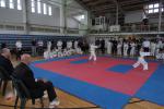 taekwon-do2014031