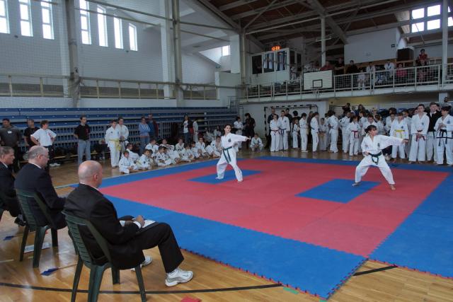 taekwon-do2014035