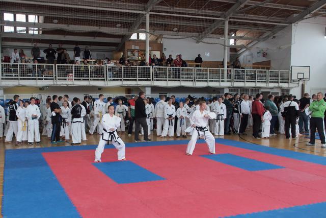 taekwon-do2014036