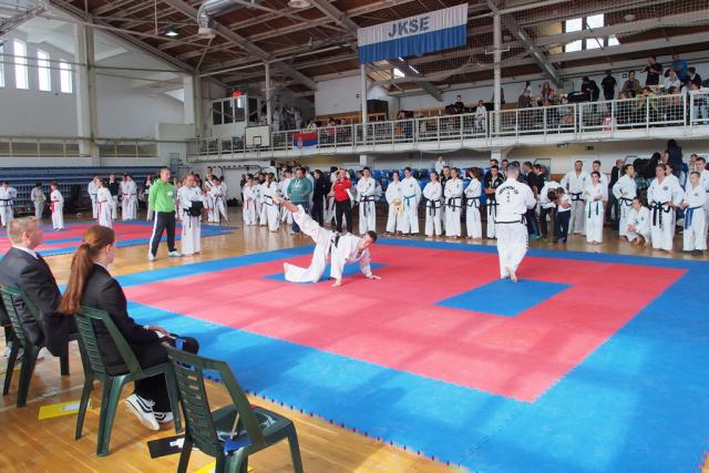 taekwon-do2014039