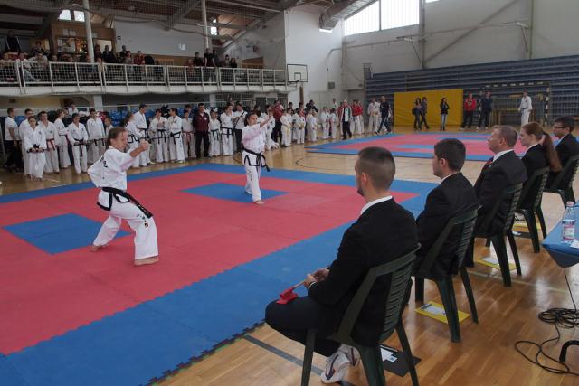 taekwon-do2014042