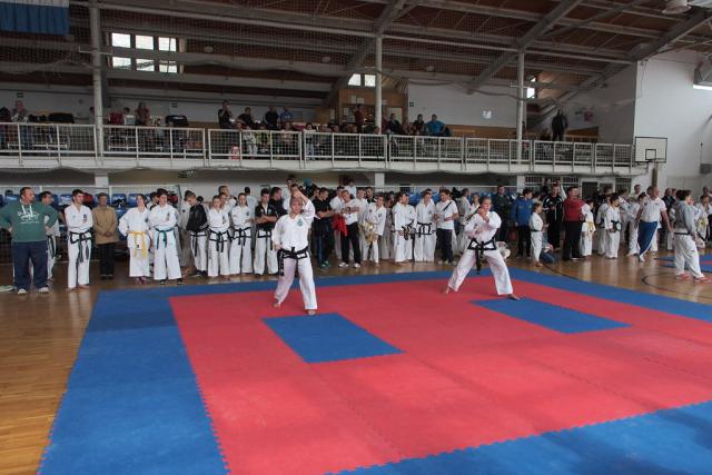 taekwon-do2014046