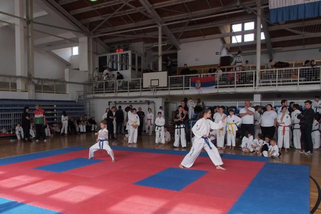 taekwon-do2014049