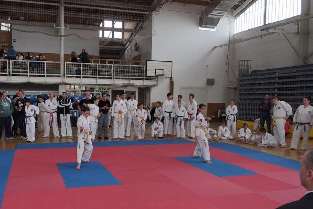 taekwon-do2014056